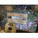 Dell D Series Retro Gaming Windows 98 SE Laptop Tycoon Edition - C12830-98